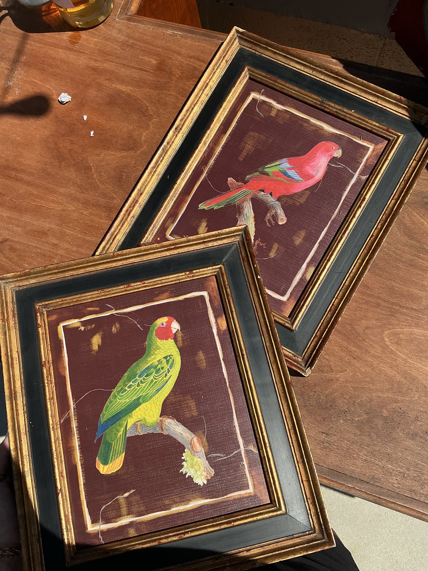 Framed birds