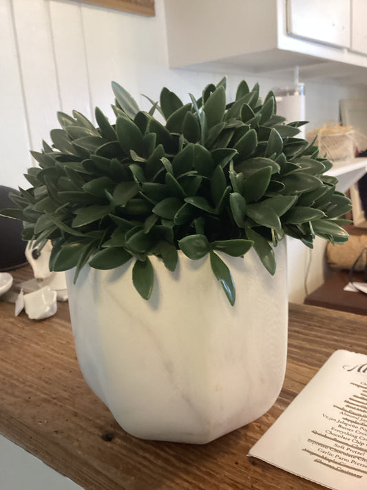 Faux plant