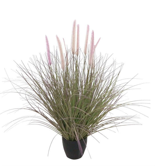 Faux Dogtail Grass W/Plastic Pot