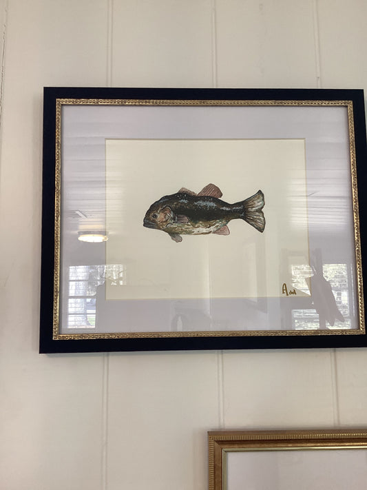 Local Fish Art