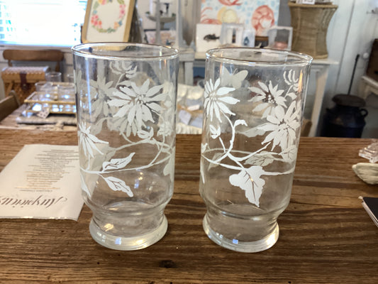 Set of 6 glassware floral