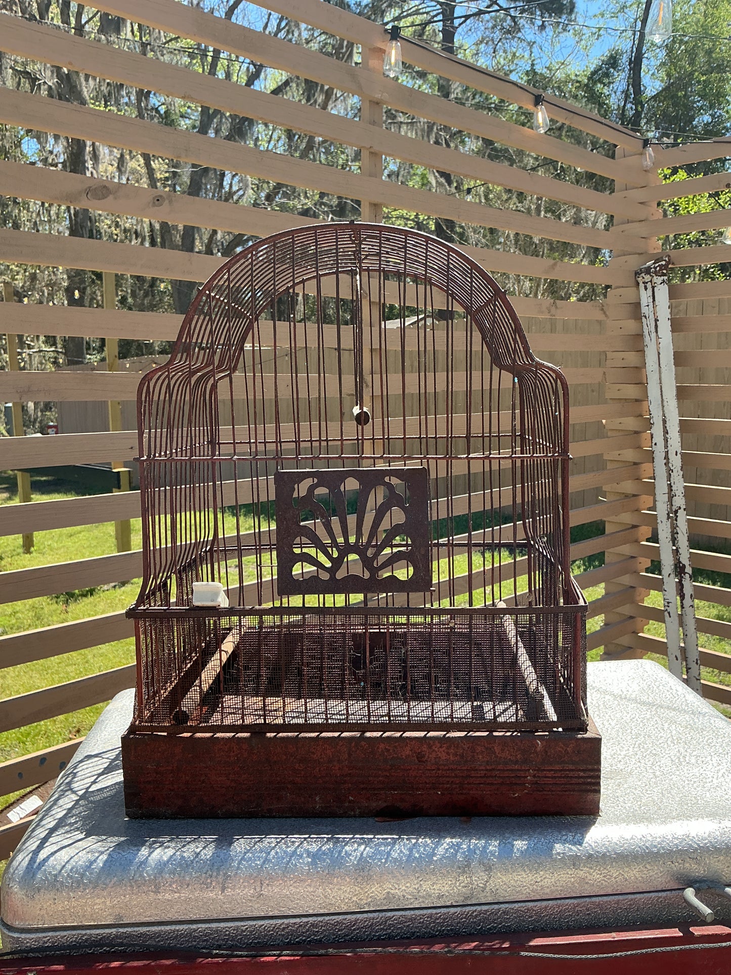 Vintage Bird Cage