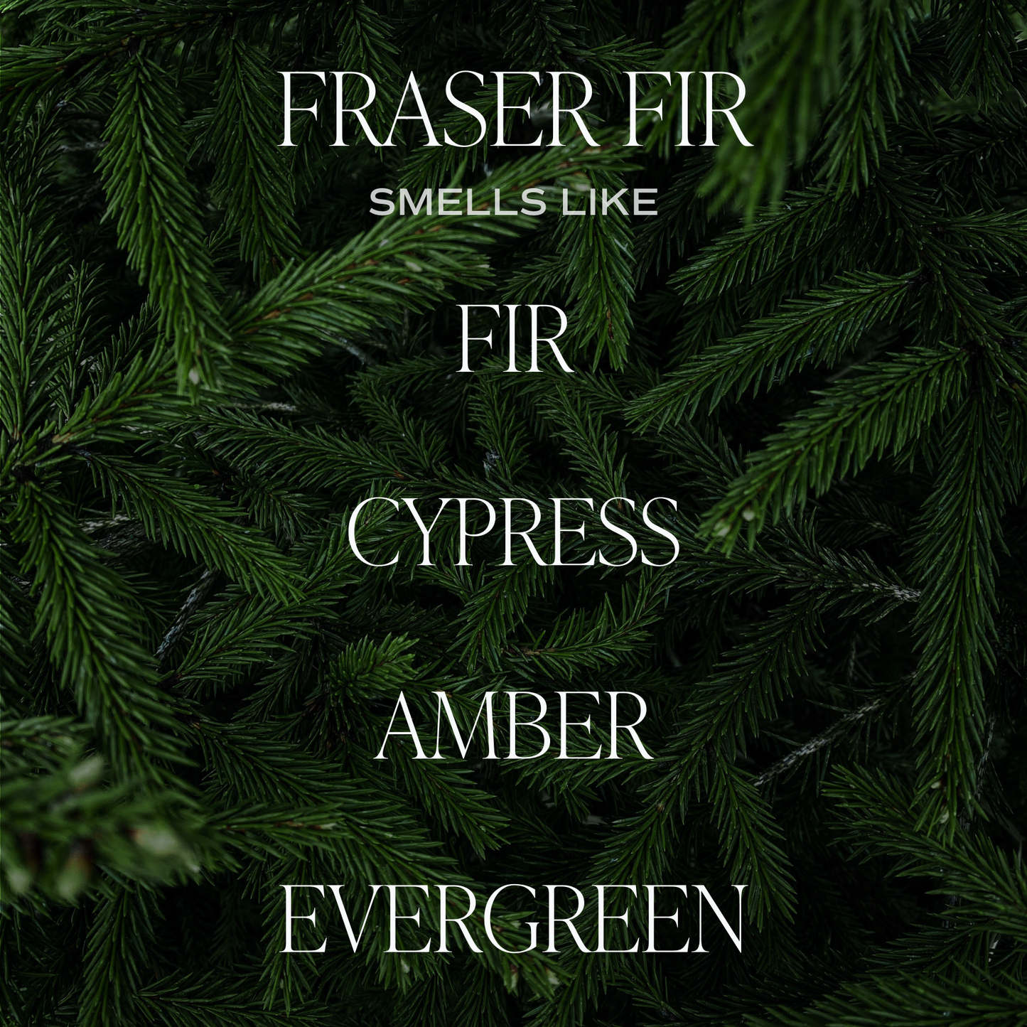 Fraser Fir 11 oz Soy Candle - Christmas Decor & Gifts